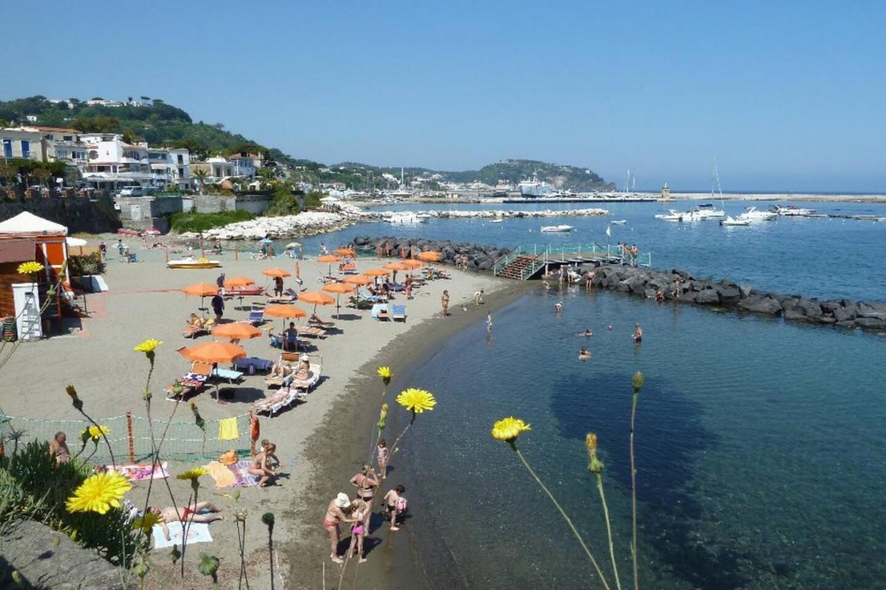 La Terrazza Dell^Ippocampo #Seaview Apartment Ischia Zewnętrze zdjęcie